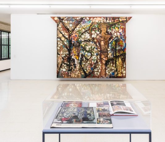 ‘Show Case: l’Archivio esposto’, alla Collezione Maramotti