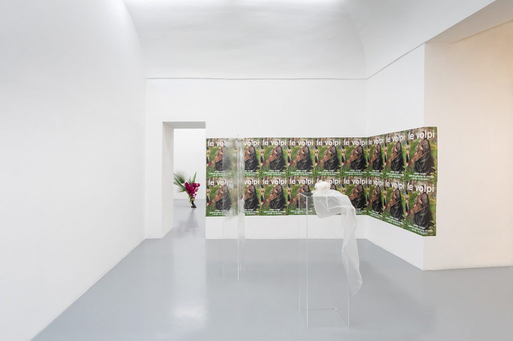 André Romao di marino