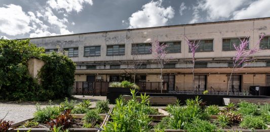 Arte, architettura e natura in dialogo, negli spazi della Manifattura Tabacchi di Firenze Botanica temporanea manifattura tabacchi