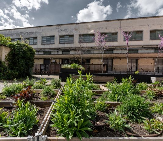 Arte, architettura e natura in dialogo, negli spazi della Manifattura Tabacchi di Firenze Botanica temporanea manifattura tabacchi
