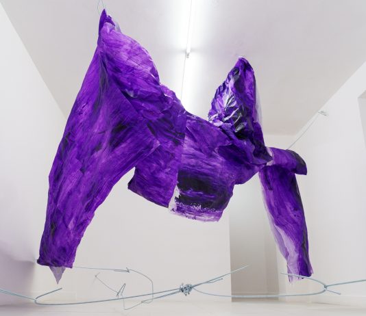 Davide Mineo, Schema Plastico – L’Ascensore Davide Mineo, Schema Plastico, 2021, visione della mostra. L'Ascensore Palermo. PH Filippo M. Nicoletti