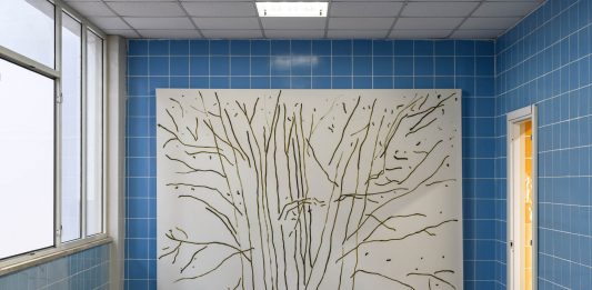 Cose Viste, Marco Eusepi e Sergio Sarra – SPAZIOMENSA