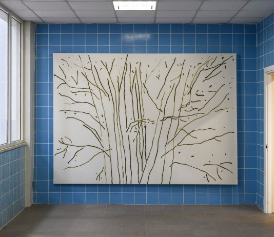 Cose Viste, Marco Eusepi e Sergio Sarra – SPAZIOMENSA