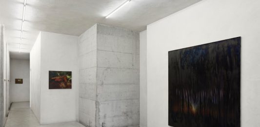 Giulio Saverio Rossi, Prima di un’immagine dopo di un quadro – CAR DRDE