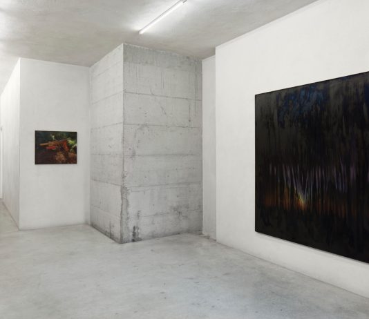 Giulio Saverio Rossi, Prima di un’immagine dopo di un quadro – CAR DRDE