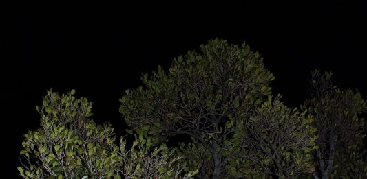 Archeologia del futuro: intervista a Hamzehian e Mortarotti