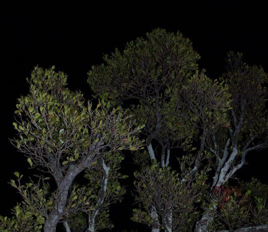 Archeologia del futuro: intervista a Hamzehian e Mortarotti