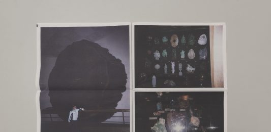 I nuovi percorsi di Condylura, la piattaforma di ricerca sulle arti visive condylura arti visive