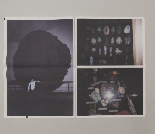 I nuovi percorsi di Condylura, la piattaforma di ricerca sulle arti visive condylura arti visive