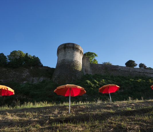 Arte di rinascita: Pascale Marthine Tayou nel Vigneto Pusterla di Brescia Pascale Marthine Tayou brescia