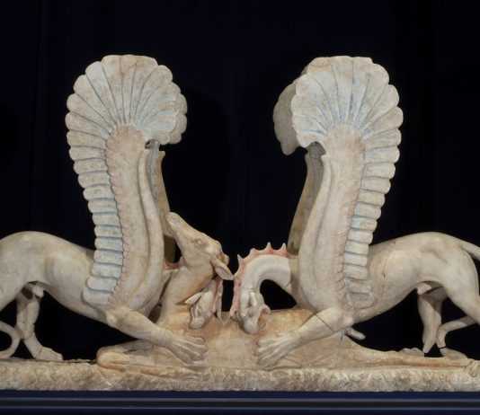 TOTA Italia: la nuova mostra alle Scuderie del Quirinale