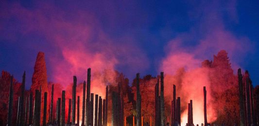 ‘Sii albero’, Stefano Boeri incontra Maria Lai: la mostra alla Stazione dell’Arte