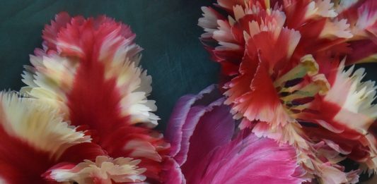 La bellezza cambia il mondo? – Riccardo Costantini Contemporary