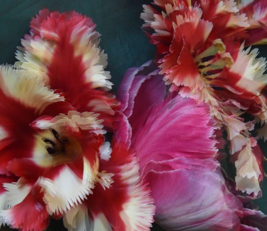 La bellezza cambia il mondo? – Riccardo Costantini Contemporary