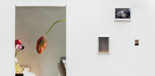 Wolfgang Tillmans, Lumière du matin – Galerie Chantal Crousel