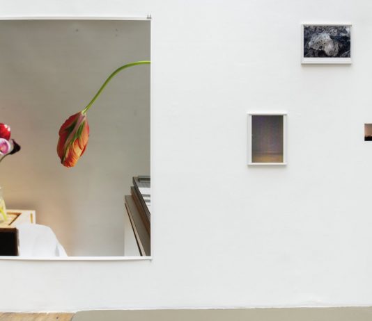 Wolfgang Tillmans, Lumière du matin – Galerie Chantal Crousel