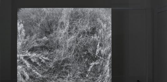 Fabio Barile, Works for a Cosmic Feeling – Matèria