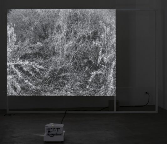 Fabio Barile, Works for a Cosmic Feeling – Matèria