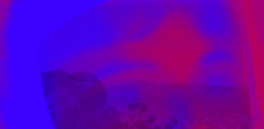 “Sonora Desert”: la performance di Muta Imago per Oceano Indiano