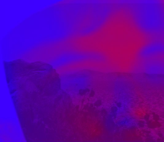 “Sonora Desert”: la performance di Muta Imago per Oceano Indiano