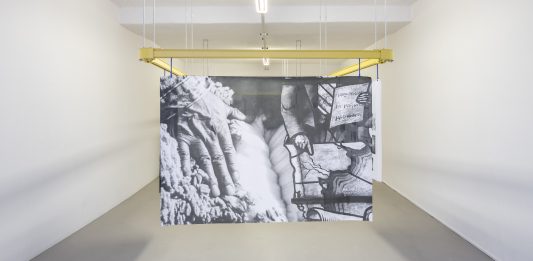 ‘Silver Rights’: il progetto di Elena Mazzi ad ar/ge kunst. Le parole di Emanuele Guidi