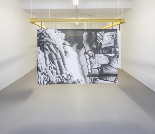 ‘Silver Rights’: il progetto di Elena Mazzi ad ar/ge kunst. Le parole di Emanuele Guidi