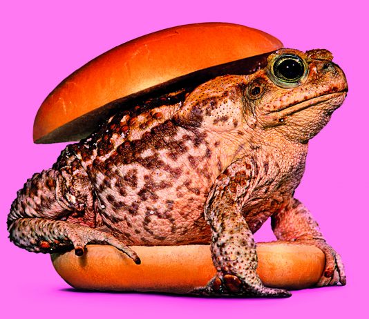 Cattelan, Ferrari e Parr: Toilet Paper a Villa Medici