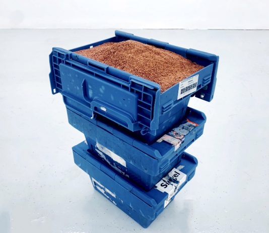 Not Quite Nearly Fine – Fondazione Baruchello