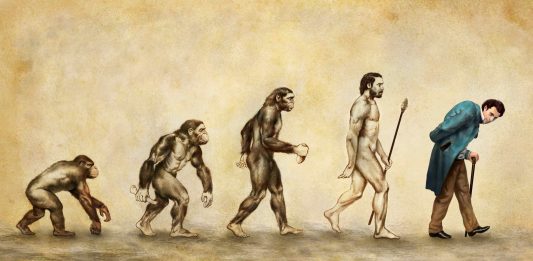 Giulio Marchetti, Giacomo LeoDarwin