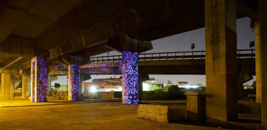 I fiori digitali di Franz Cerami illuminano i quartieri di Palermo franz cerami napoli