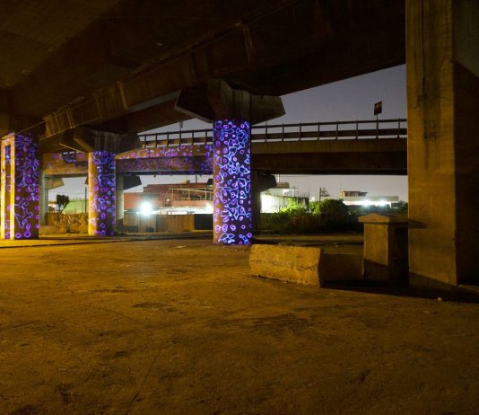 I fiori digitali di Franz Cerami illuminano i quartieri di Palermo franz cerami napoli