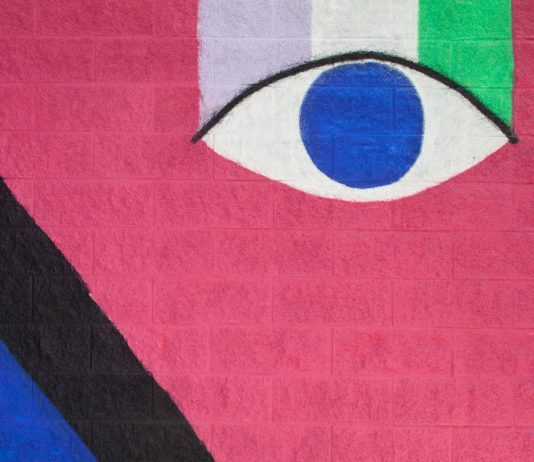 Altri Colori a Firenze: un progetto d’arte urbana per i diritti civili altri colori firenze