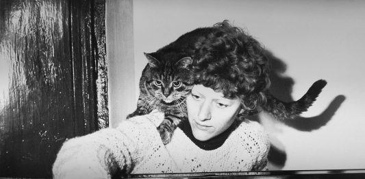 Estate al MACRO: un programma in continuo aggiornamento