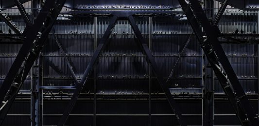 Cattelan torna a Milano. Le foto della mostra al Pirelli HangarBicocca Maurizio Cattelan Ghosts, 2021 Veduta dell’installazione, Pirelli HangarBicocca, Milano, 2021 Piccioni in tassidermia Dimensioni ambientali Courtesy l’artista e Pirelli HangarBicocca, Milano Foto: Agostino Osio