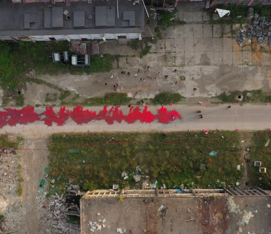 V_AIR 2021: dialogare con la catastrofe. Intervista con Maria Paola Zedda Smirna Kulenovic, Pure Blood