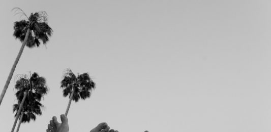 New Now, all’asta l’alfabeto di Stella McCartney