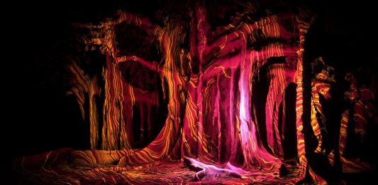 L’Orto Botanico di Palermo si illumina con gli ologrammi di Anima Mundi anima mundi orto botanico palermo