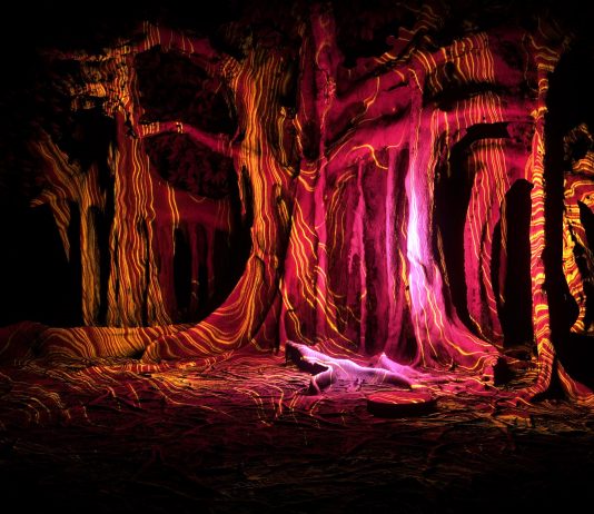 L’Orto Botanico di Palermo si illumina con gli ologrammi di Anima Mundi anima mundi orto botanico palermo