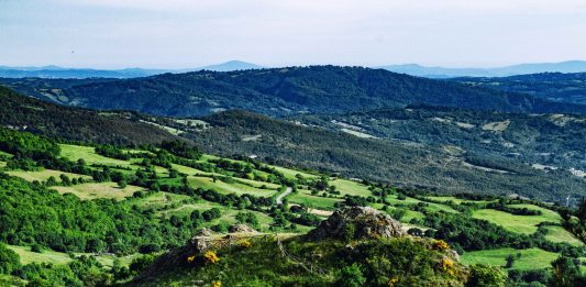 Linfa: il nuovo festival di natura, arte e scienza di Monticello Amiata linfa festival monticello amiata