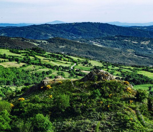 Linfa: il nuovo festival di natura, arte e scienza di Monticello Amiata linfa festival monticello amiata