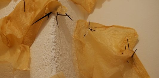 Difendersi per natura: la “Sottile instabilità” di Matilde Sambo da AnonimaKunsthalle Matilde Sambo AnonimaKunsthalle