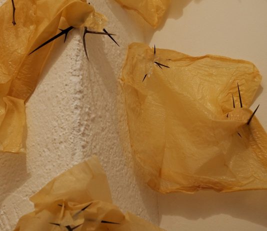 Difendersi per natura: la “Sottile instabilità” di Matilde Sambo da AnonimaKunsthalle Matilde Sambo AnonimaKunsthalle