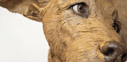 AL VIA LA DECIMA EDIZIONE LUCCA BIENNALE CARTASIA 2021