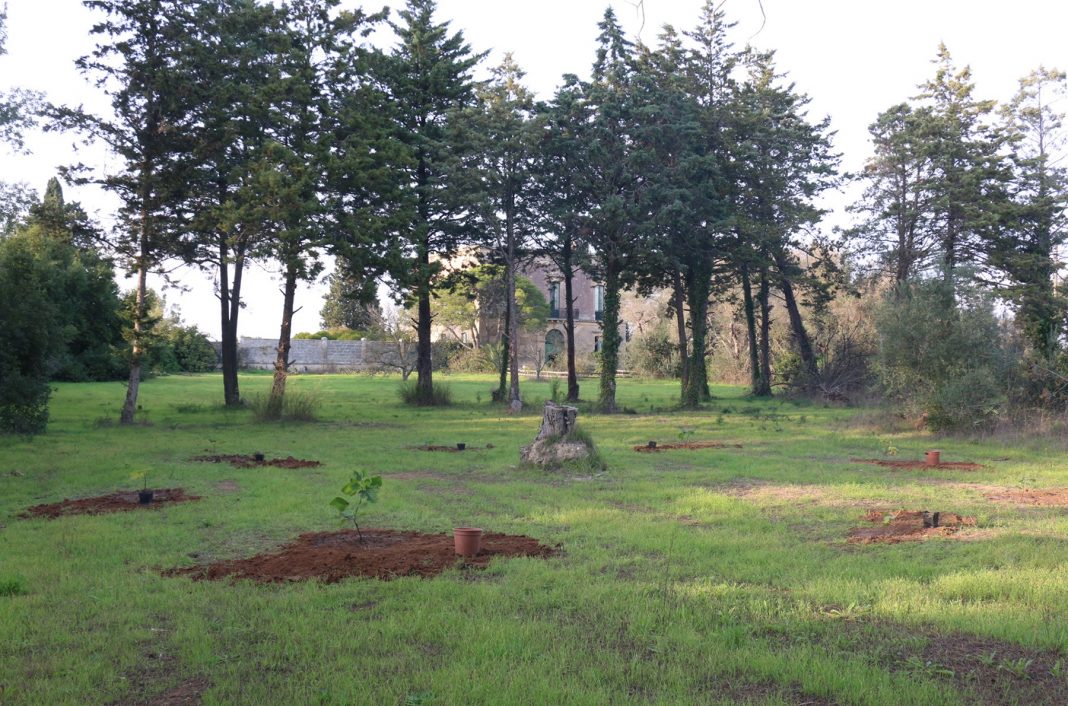 residenza casa cafausica