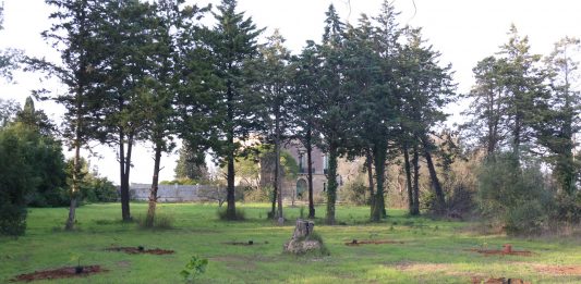 Una residenza sul sogno: l’appuntamento alla Casa Cafausica residenza casa cafausica