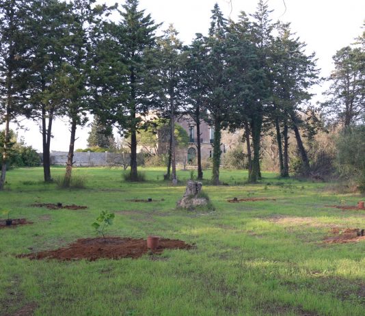 Una residenza sul sogno: l’appuntamento alla Casa Cafausica residenza casa cafausica