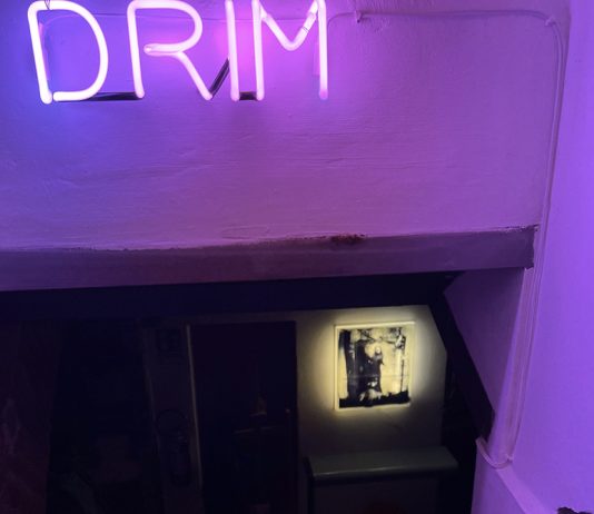 Hybrida Tales by Untitled Association #29: DRIM | Contemporary art ground e Spazio Hangar