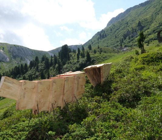 Il parco d’arte RespirArt, tra le montagne della Val di Fiemme, in Trentino