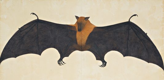 Sotheby’s, all’asta (e alla ribalta) capolavori della pittura indiana sotheby's india