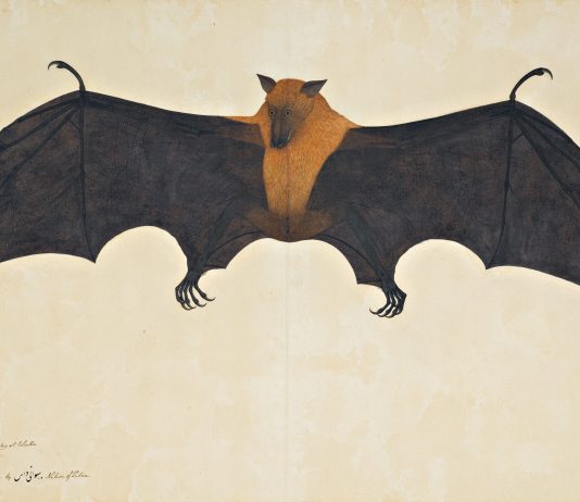 Sotheby’s, all’asta (e alla ribalta) capolavori della pittura indiana sotheby's india